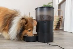 Trixie Distributeur Automatique De Croquettes TX-C Smart 3 L -lacompagniedesanimaux trixxxxxx