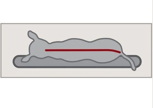 Trixie Vital Lit Lino 60 × 45 Cm Noir/gris 5 Trixie Vital Lit Lino 60 × 45 Cm Noir/gris – Image 3