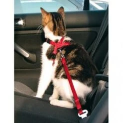 Trixie Harnais De Sécurité Voiture Pour Chat -lacompagniedesanimaux web